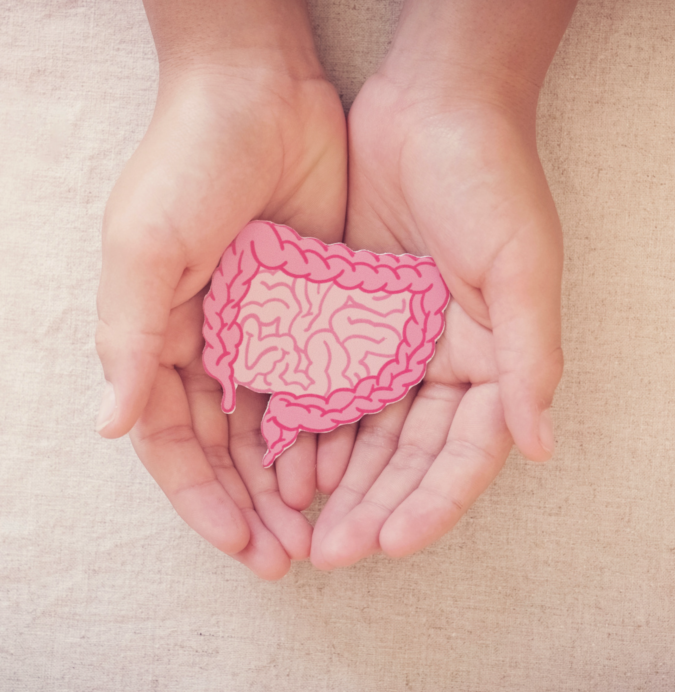 Fittastic zonder Dips Traject orthomoleculair dietist groningen peize