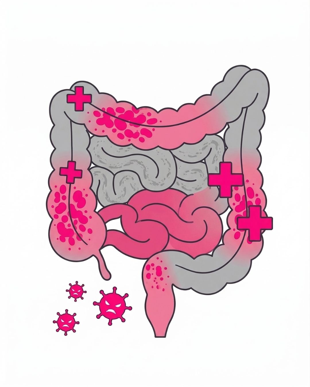 Fittastic zonder Dips Traject orthomoleculair dietist groningen peize