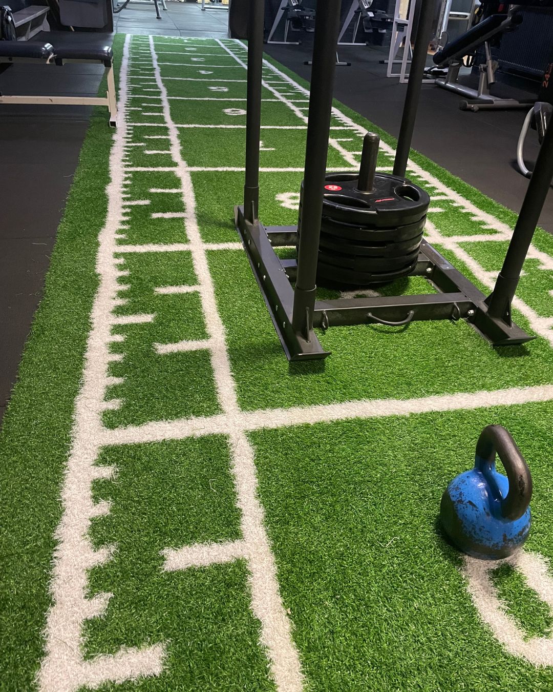 Fittastic Personal Training Groningen en Peize: sporten met persoonlijke aandacht voor vetverbranding en spiermassa